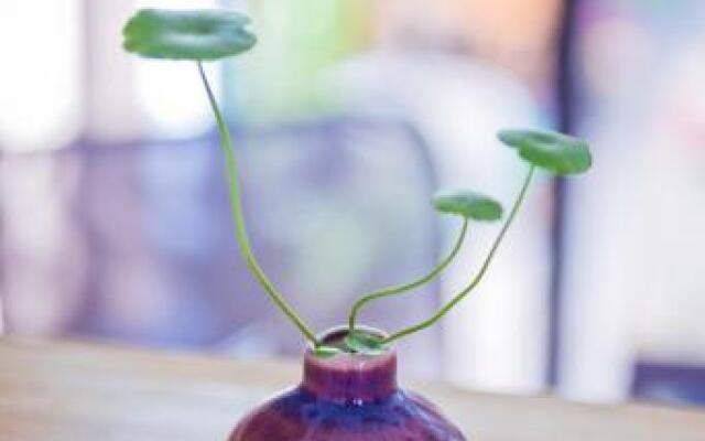 Xing Long No 37 Hostel