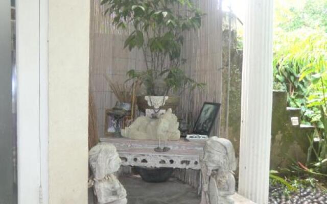 Shady Grove Healing Centre and Homestay