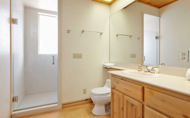 Starlight Vistas #1524