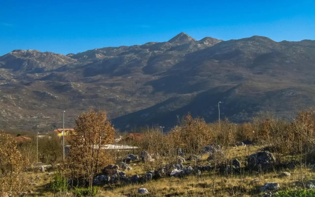 Apartman Nature
