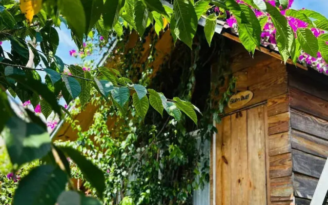September Garden