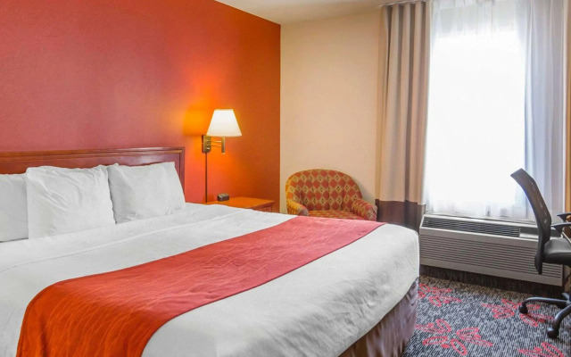 Comfort Inn & Suites University