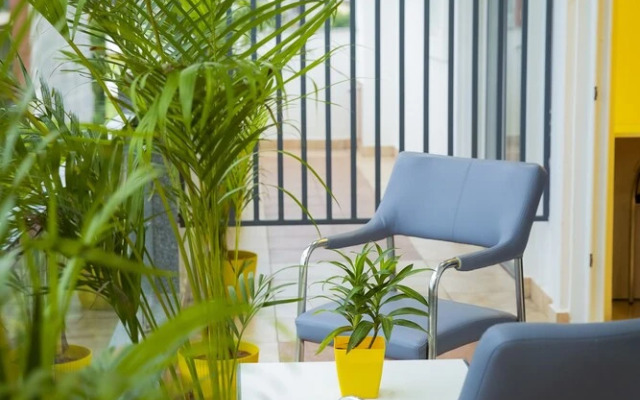 Lime Tree Luxury Studio