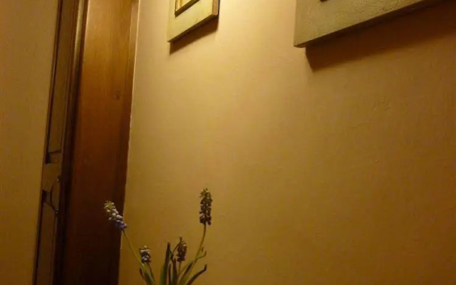 Casale dei Gelsi Bed & Breakfast