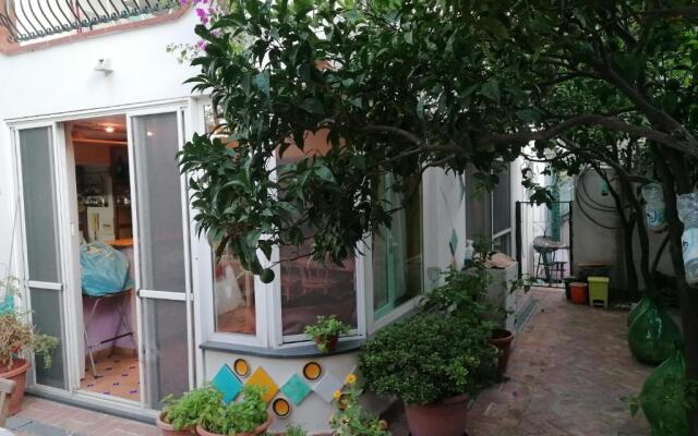 Palmarosa apartments