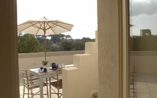 Volte e Voltini in Nard