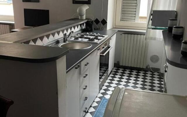 Gatto Bianco Bergamo 9