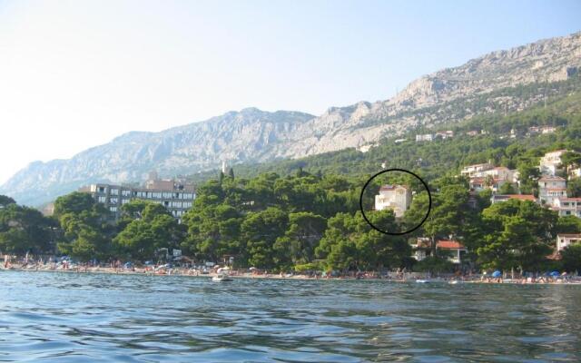 Villa Dalmatino