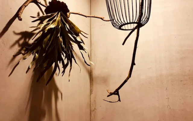 Yian Branch2 Backpacker lnn