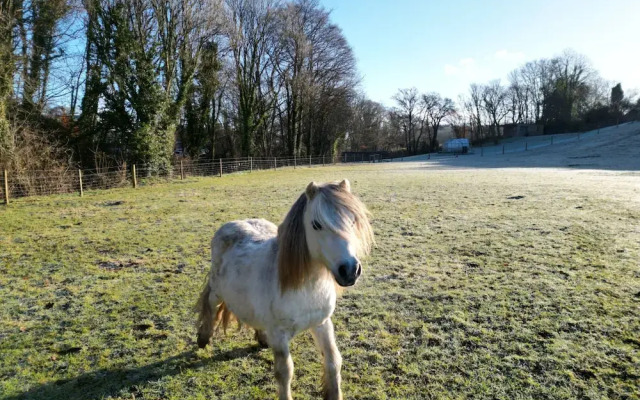 Lydvale Lodge in Lifton