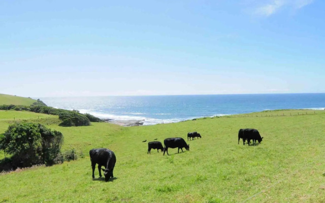 ONE TREE Gerroa 4pm check out Sundays