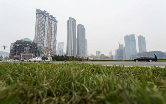 Xinghai Haiyue Bay Suites Apartment