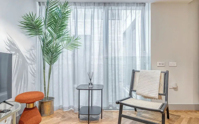 Luxury flats near Big Ben and London Eye