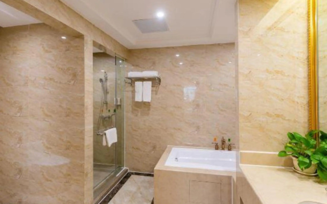 Vienna International Hotel (Daxin Detian Square)