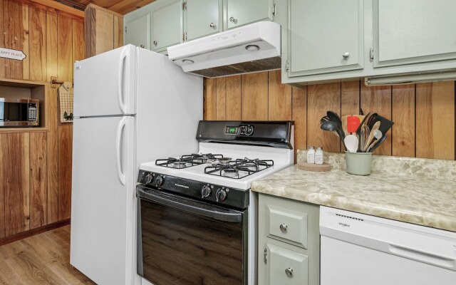 Big Bear Moose House