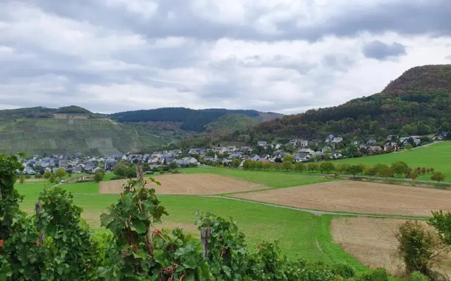 Ferienwohnung Im Moseltal