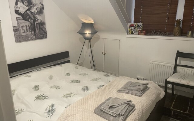 Entire Artistic Open-plan Top Floor Apartment
