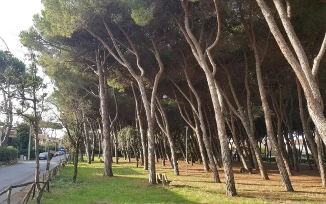 Hotel Belverde