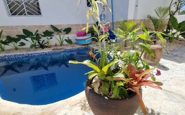 Luxury House Bungalow and apartments La Botánica Tropical