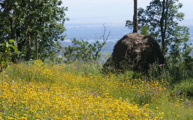El Escondite De Pedro Malillo