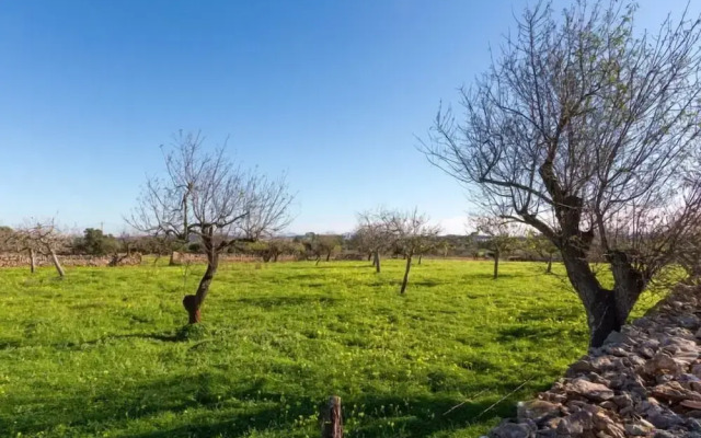 Villa Can Pedro
