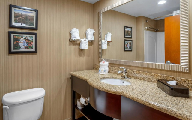 Comfort Suites North