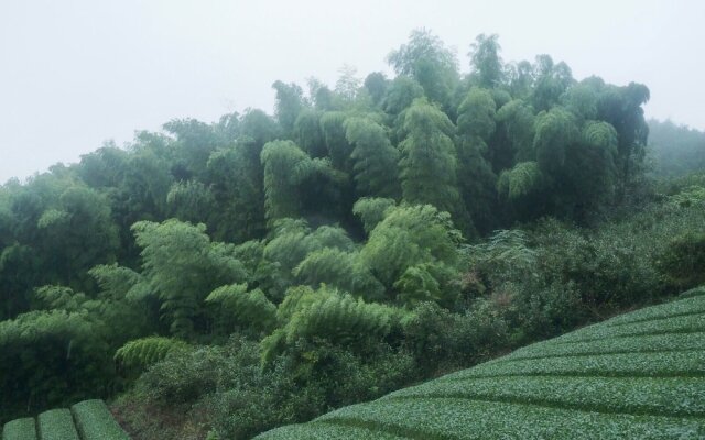 Yui Valley