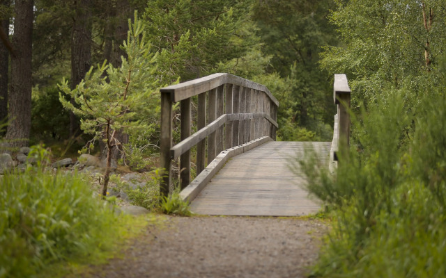 Cairngorm Lodge Youth Hostel