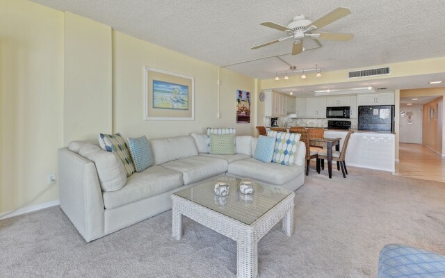 Sand Dollar I 504