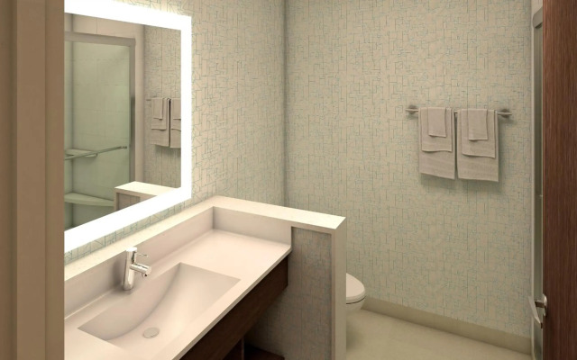 Holiday Inn Express & Suites Omaha - 120th and Maple by IHG