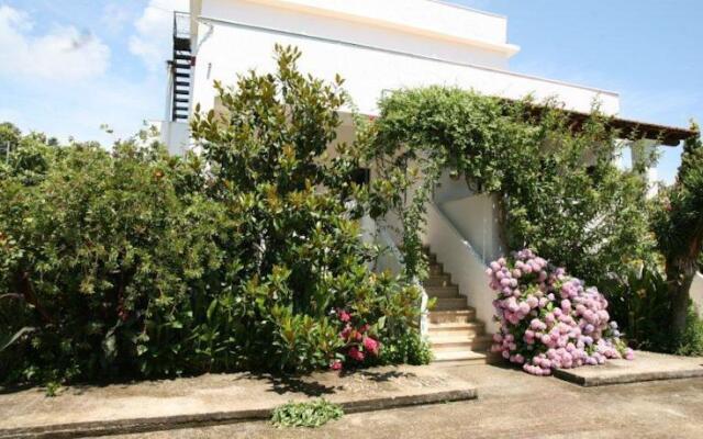 Villa Dina