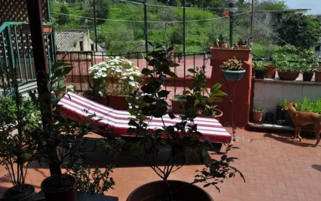Marina Guest House
