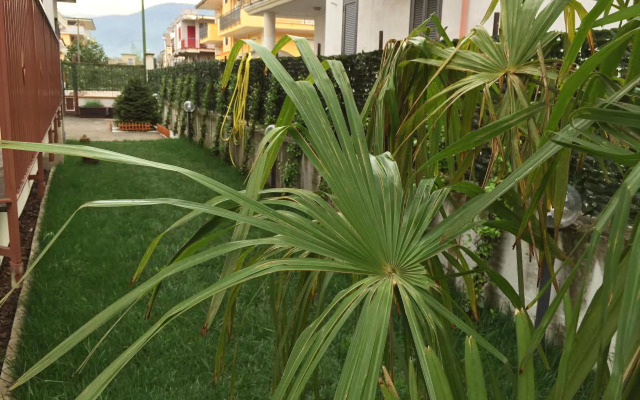 Villa Nancy B&B