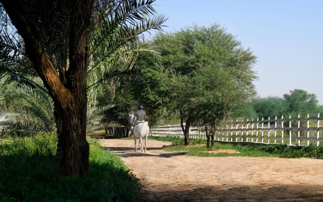Al Samriya, Autograph Collection