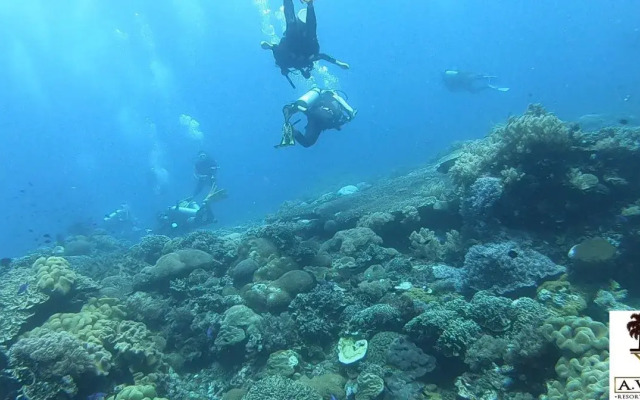 A Villas Resort & Restaurant