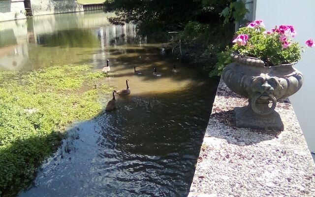 Au fil du Loing