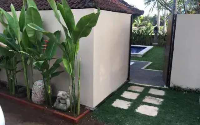 Shima House