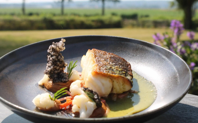 Havezathe Carpe Diem