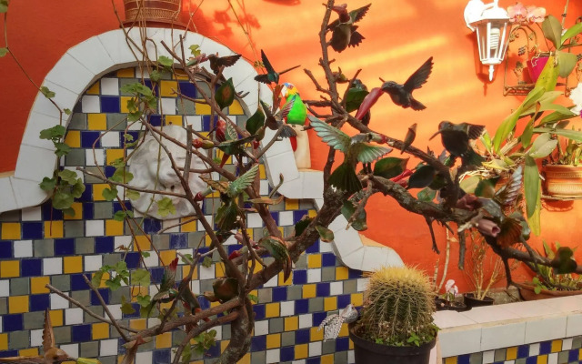 Hacienda Jimenita Wildlife Reserve