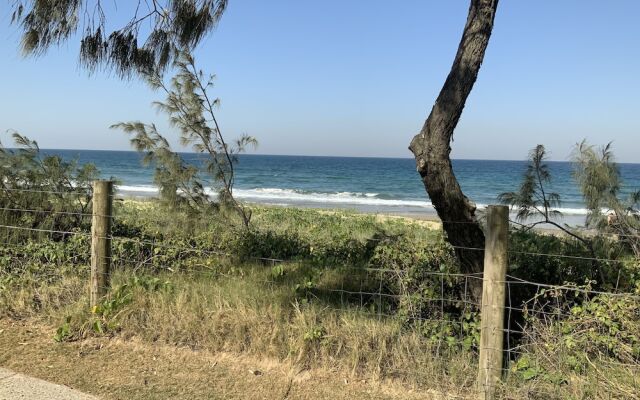 Alex beach resort unit 305