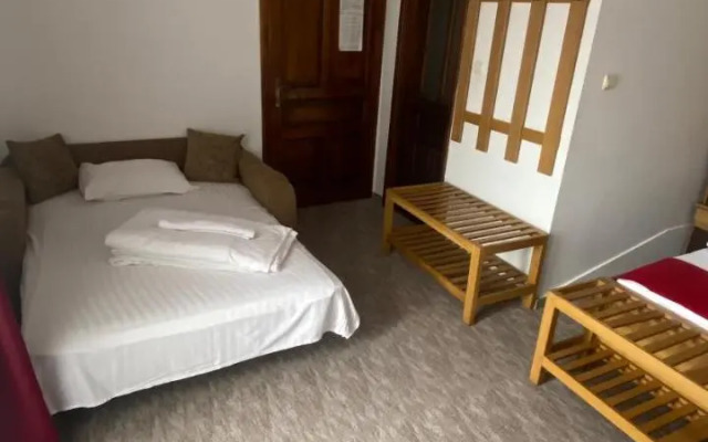 Pension La Viorel