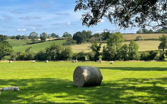 Darwen