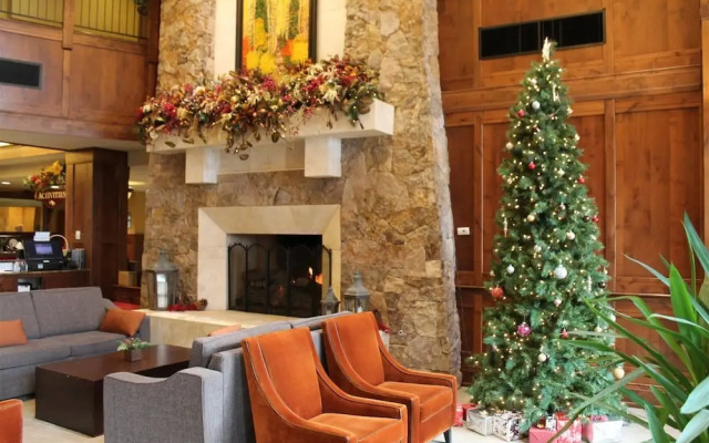 Grand Timber Lodge - Holiday&new Years