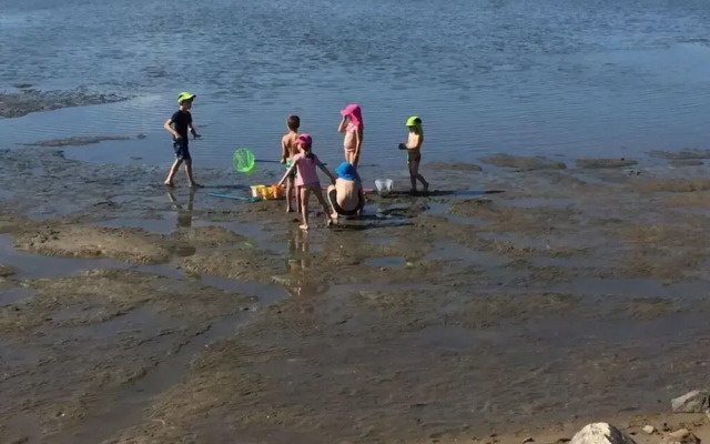 Buschsand Lee Comfortable Holiday Residence