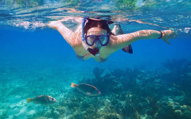 Primera Linea, Gran Terraza, Maravillosas Vistas