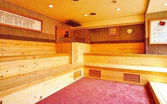 Capsule & Sauna Japan – Caters to Men