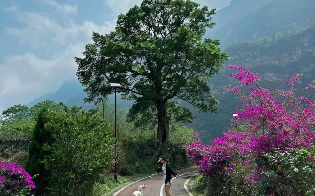 Zhensu Canyon Sanctuary
