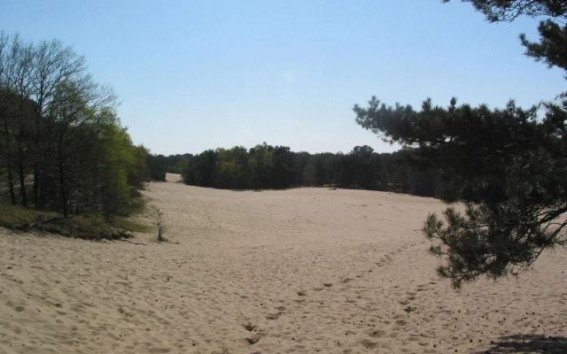 Comfy Bungalow With a Fire Place, in the Forest