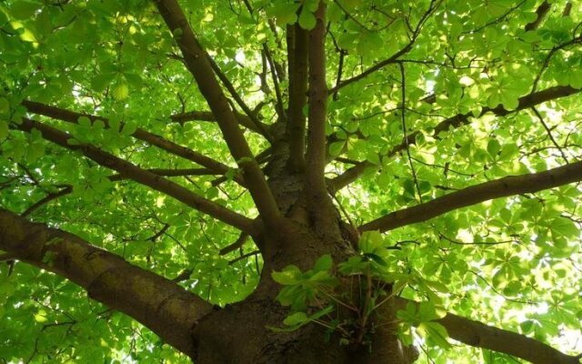 Landhotel Walderholung