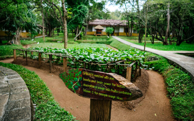 Amaya Lake Dambulla Resort